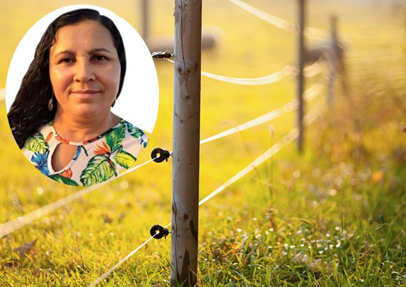 Mulher morre eletrocutada ao segurar em cerca de arame energizada na Bahia