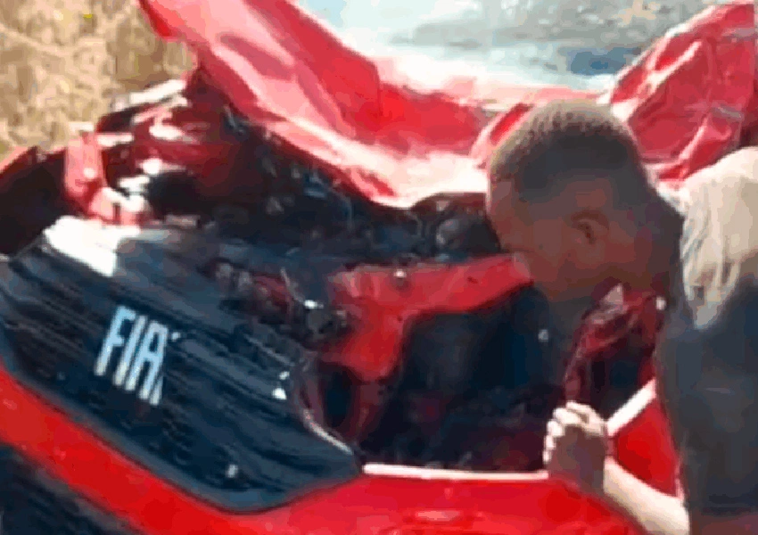 Motorista escapa ileso após colisão com égua solta na BA-160 em Malhada