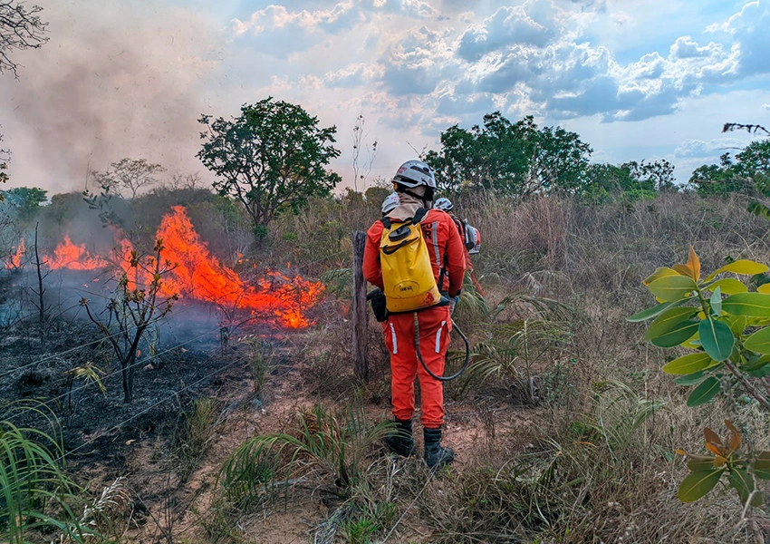 Crimes ambientais e incêndios florestais crescem na Bahia e atingem comunidades tradicionais