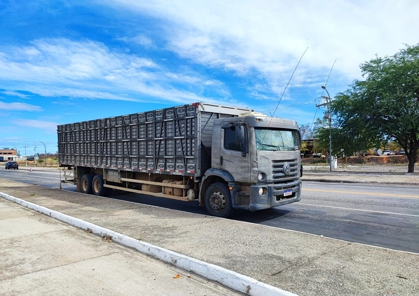 Caminhão com nove bovinos sem documentação é apreendido pela CIPRv em Sussuarana distrito de Tanhaçu
