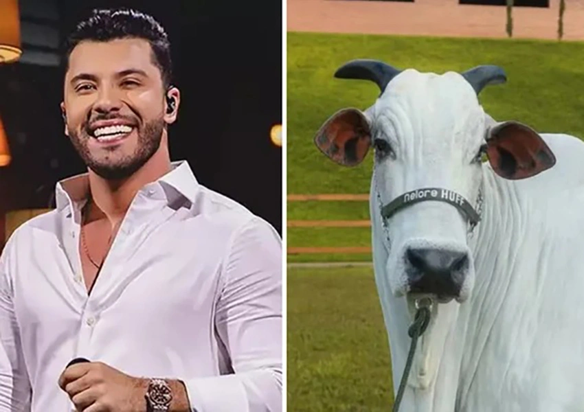 Murilo Huff compra vaca por R$ 17 milhões um mês após conquistar guarda de filho herdeiro