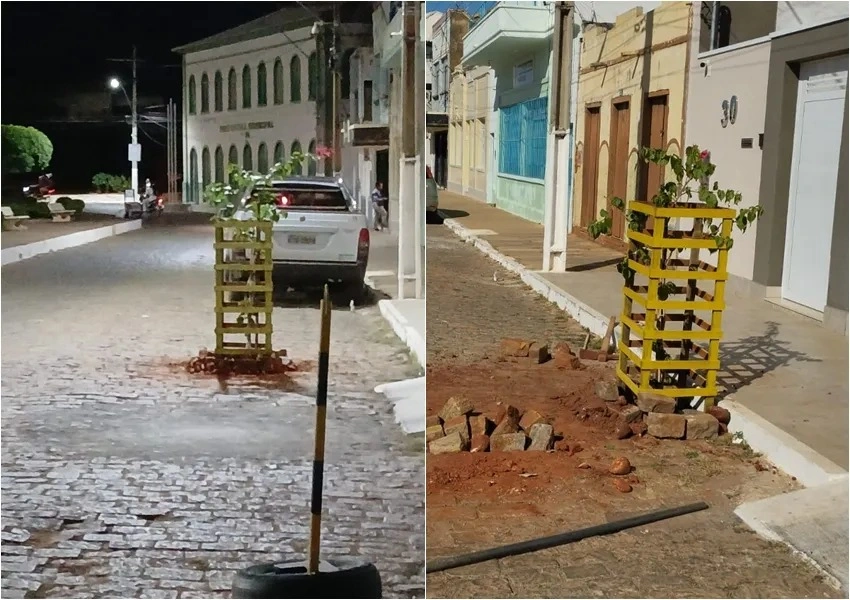 Prefeitura realoca árvore plantada no meio da via na Praça Dom Hélio Paschoal em Livramento de Nossa Senhora