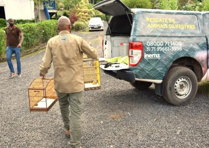 Igaporã terá campanha para devolução voluntária de animais silvestres