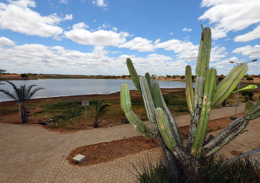 Governo reconhece situação de emergência por estiagem em Lagoa Real