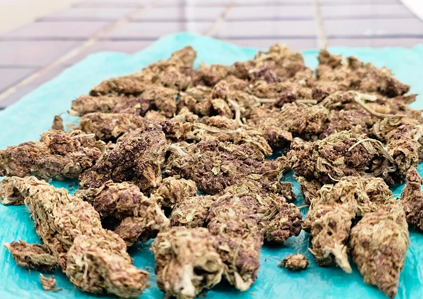 Polícia Rodoviária apreende maconha em operação na BA-262 em Vitória da Conquista