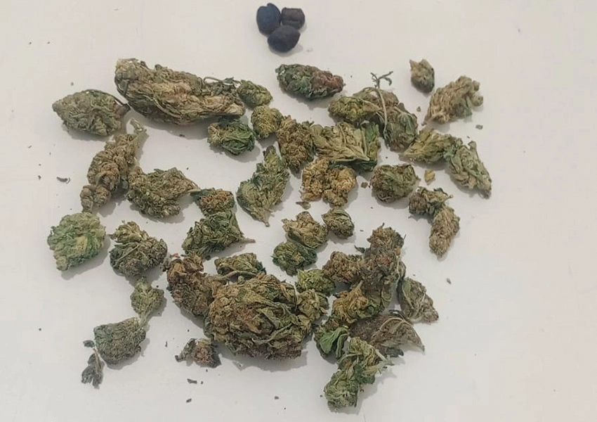 Mulher é detida com porções de maconha após perseguição policial na BA-262 em Anagé