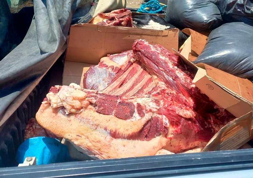 Polícia apreende 580 kg de carne transportada sem refrigeração em Vitória da Conquista