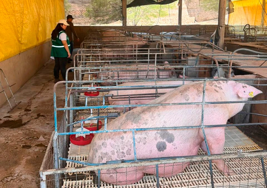 Adab intensifica ações de vigilância sanitária na Bacia do Paramirim e reforça sanidade agropecuária