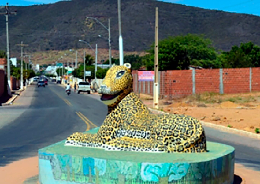 Mulher é suspeita de furtar R$ 1,2 mil de feirante no centro de Palmas de Monte Alto