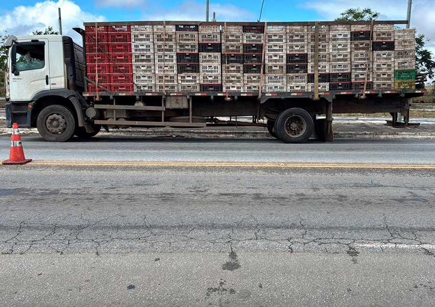 Polícia Rodoviária apreende veículo que transportava frangos sem documentação sanitária em Vitória da Conquista
