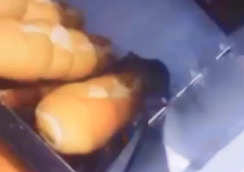 Supermercado é interditado após ratos serem flagrados sobre pães