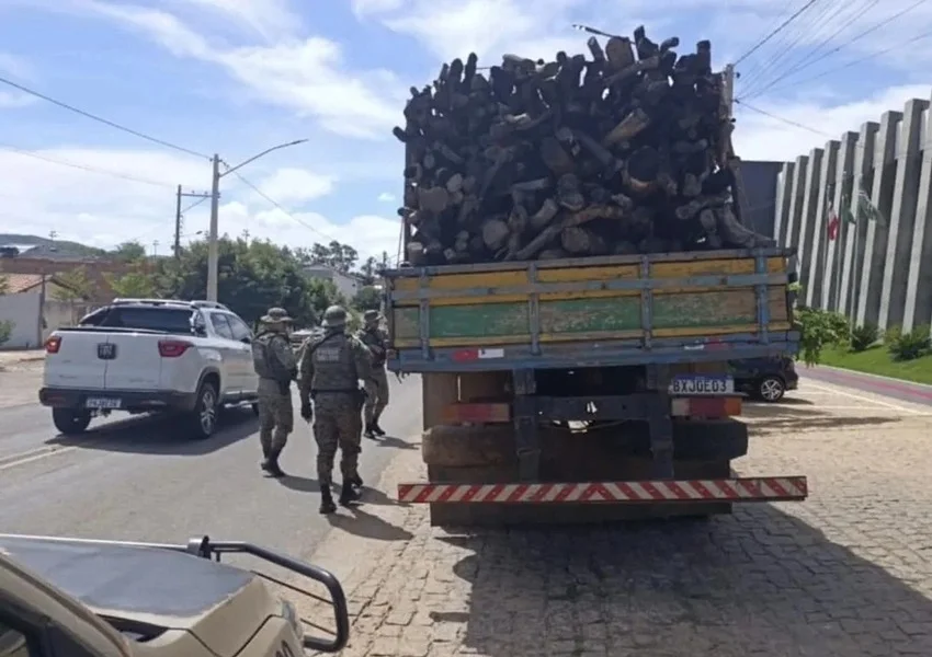 Polícia ambiental apreende carga de madeira nativa na BA-152 em Paramirim