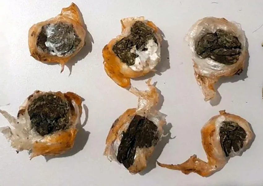 Mulheres são flagradas com drogas durante revista em presídio na Bahia