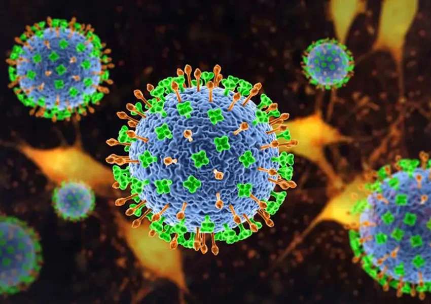 Aeroportos da Ásia reforçam controles sanitários após surto do vírus Nipah