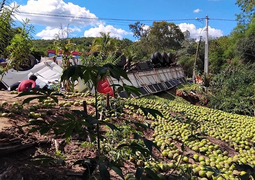 Motorista morre preso às ferragens após carreta com laranjas tombar em Licínio de Almeida