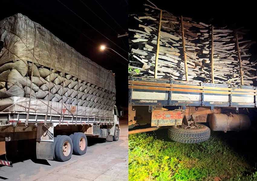 Polícia apreende 32 toneladas de carvão e madeira ilegal no Sudoeste da Bahia