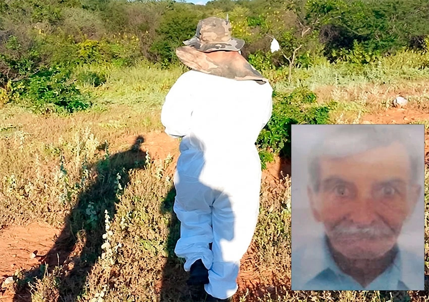 Idoso de 84 anos morre após ataque de abelhas em Brumado