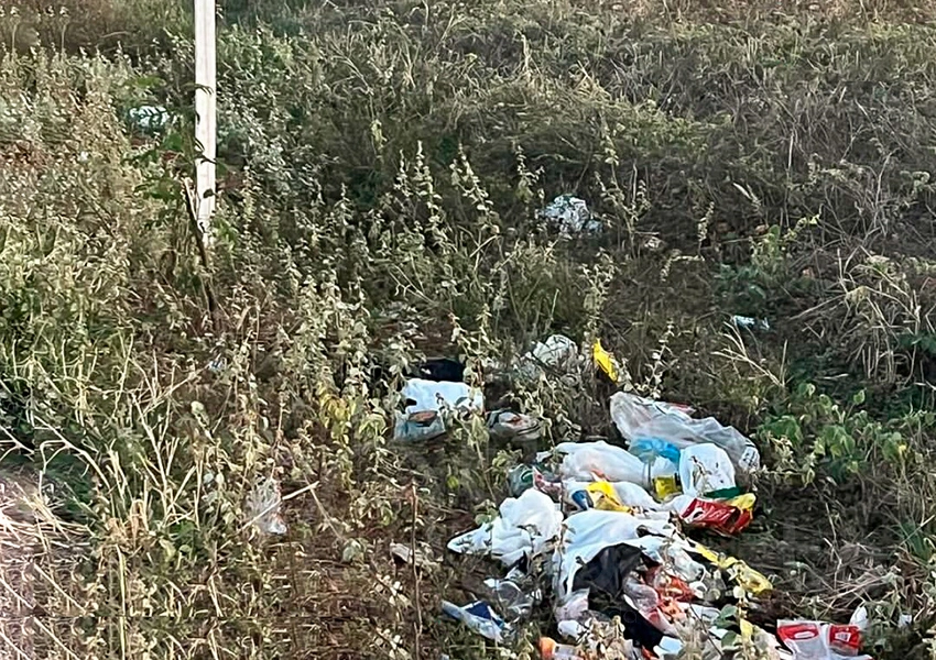 Moradores denunciam descarte irregular de lixo em estrada de Dom Basílio e cobram providências