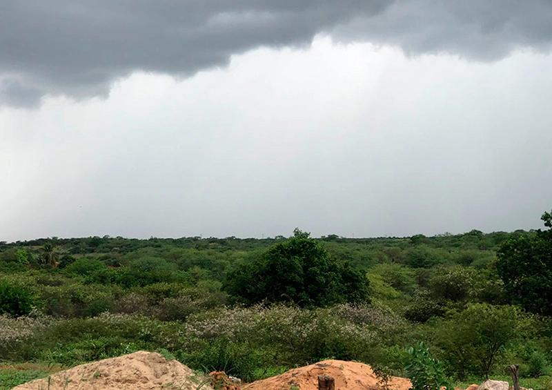 Chuvas intensas atingem região sudoeste da Bahia com previsões de mais precipitações até o início da próxima semana