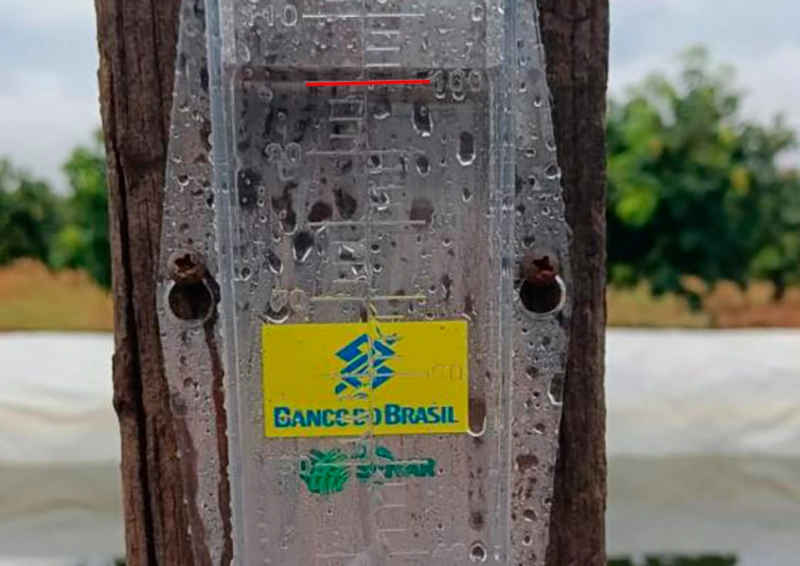 Livramento: Chuva de 100 mm na madrugada traz alívio, e previsão é de mais até segunda-feira (21)